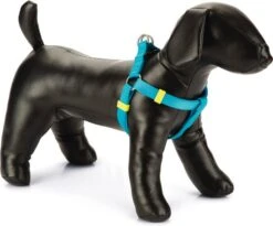 Beeztees Hondentuig Uni Lichtblauw 46-75 X 2 Cm