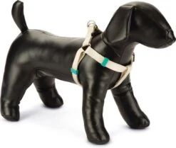 Beeztees Hondentuig Uni Beige 35-60 X 1,5 Cm