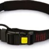 Beeztees Hondenhalsband Parinca Premium Zwart 55-60 X 3 Cm