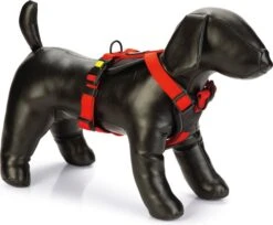 Beeztees Hondentuig Parinca Premium Rood 81-100 X 3 Cm