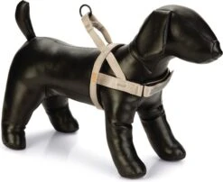 Beeztees Hondentuig Parinca Premium Comfort Grijs 62-74 X 2,5 Cm