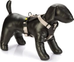 Beeztees Hondentuig Parinca Premium Grijs 38-48 X 2 Cm