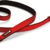 Beeztees Hondenriem Parinca Premium Rood 180 X 2,5 Cm