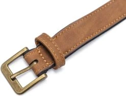 Beeztees Hondenhalsband Balacron Ax Bruin 38-48 X 2,5 Cm -Beeztees || FLEXI || ROYAL CANIN Winkel 8712695198468 2