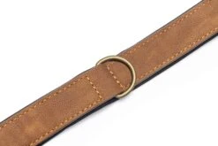 Beeztees Hondenhalsband Balacron Ax Bruin 38-48 X 2,5 Cm -Beeztees || FLEXI || ROYAL CANIN Winkel 8712695198468 3