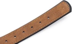 Beeztees Hondenhalsband Balacron Ax Bruin 38-48 X 2,5 Cm -Beeztees || FLEXI || ROYAL CANIN Winkel 8712695198468 4