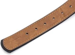 Beeztees Hondenhalsband Balacron Ax Bruin 38-48 X 2,5 Cm -Beeztees || FLEXI || ROYAL CANIN Winkel 8712695198468 5