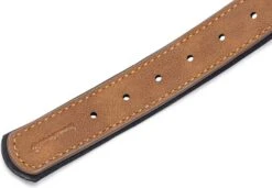 Beeztees Hondenhalsband Balacron Ax Bruin 43-53 X 2,5 Cm 10 Beeztees Hondenhalsband Balacron Ax Bruin 43-53 X 2,5 Cm -Beeztees || FLEXI || ROYAL CANIN Winkel 8712695198475 6