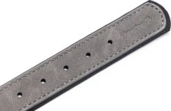 Beeztees Hondenhalsband Balacron Ax Grijs 38-48 X 2,5 Cm -Beeztees || FLEXI || ROYAL CANIN Winkel 8712695198703 3