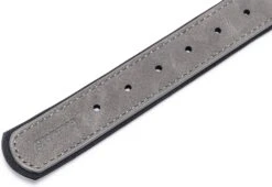 Beeztees Hondenhalsband Balacron Ax Grijs 38-48 X 2,5 Cm -Beeztees || FLEXI || ROYAL CANIN Winkel 8712695198703 4