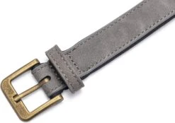 Beeztees Hondenhalsband Balacron Ax Grijs 38-48 X 2,5 Cm -Beeztees || FLEXI || ROYAL CANIN Winkel 8712695198703 5