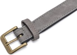 Beeztees Hondenhalsband Balacron Ax Grijs 43-53 X 2,5 Cm -Beeztees || FLEXI || ROYAL CANIN Winkel 8712695198710 4