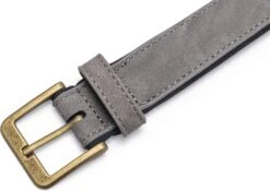 Beeztees Hondenhalsband Balacron Ax Grijs 47-57 X 3 Cm -Beeztees || FLEXI || ROYAL CANIN Winkel 8712695198727 3