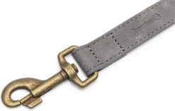 Beeztees Hondenriem Balacron Grijs 100 X 2,5 Cm -Beeztees || FLEXI || ROYAL CANIN Winkel 8712695198765 2