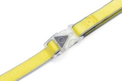 Beeztees Hondenriem Parinca Premium Geel 150 X 2 Cm -Beeztees || FLEXI || ROYAL CANIN Winkel 8712695200482 4