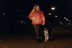 Beeztees Hondenriem Parinca Premium Geel 150 X 2,5 Cm 16 Beeztees Hondenriem Parinca Premium Geel 150 X 2,5 Cm -Beeztees || FLEXI || ROYAL CANIN Winkel 8712695200499 13