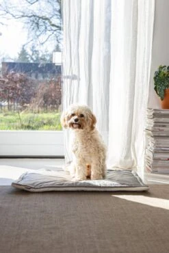 Designed By Lotte Benchkussen Gisel Grijs 62 X 44 X 4 Cm -Beeztees || FLEXI || ROYAL CANIN Winkel 8712695202530 6