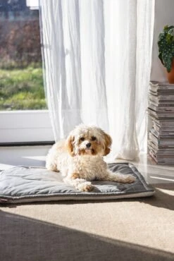 Designed By Lotte Benchkussen Gisel Grijs 62 X 44 X 4 Cm -Beeztees || FLEXI || ROYAL CANIN Winkel 8712695202530 8