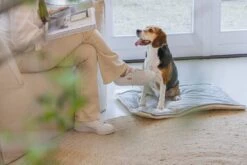 Designed By Lotte Benchkussen Gisel Grijs 89 X 60 X 6 Cm -Beeztees || FLEXI || ROYAL CANIN Winkel 8712695202554 7