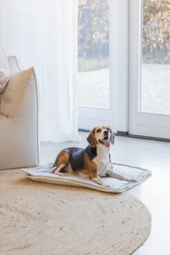 Designed By Lotte Benchkussen Gisel Grijs 89 X 60 X 6 Cm -Beeztees || FLEXI || ROYAL CANIN Winkel 8712695202554 8