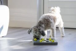 Beeztees Hondenspeelgoed Brain Game Looki Grijs 28 X 28 X 4,5 Cm -Beeztees || FLEXI || ROYAL CANIN Winkel 8712695202769 3