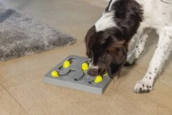 Beeztees Hondenspeelgoed Brain Game Looki Grijs 28 X 28 X 4,5 Cm -Beeztees || FLEXI || ROYAL CANIN Winkel 8712695202769 4