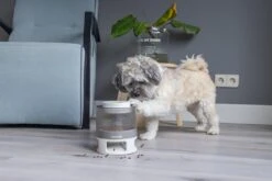 Beeztees Hondenspeelgoed Brain Game Delicious Grijs 28 X 28 X 4,5 Cm -Beeztees || FLEXI || ROYAL CANIN Winkel 8712695202783 12