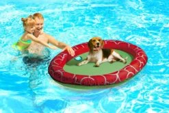 Beeztees Hondenspeelgoed Luchtbed Gody Rood / Groen 140 X 96 X 10 Cm -Beeztees || FLEXI || ROYAL CANIN Winkel 8712695667223 3