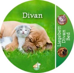 Boon Honden- En Kattenmand Divan Groen 50 X 40 X 15 Cm -Beeztees || FLEXI || ROYAL CANIN Winkel 8712901076900 5