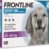 Frontline Teken- En Vlooiendruppels Spot-on Hond L 20-40 Kg 4 Stuks