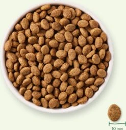 Yarrah Biologisch Hondenvoer Senior Kip 2 Kg -Beeztees || FLEXI || ROYAL CANIN Winkel 8714265000331 7