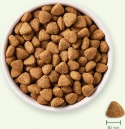Yarrah Biologisch Hondenvoer Vega Adult 2 Kg -Beeztees || FLEXI || ROYAL CANIN Winkel 8714265000393 7