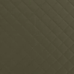 Overseas Petlife Orthopedisch Hondenkussen Daan Groen 110 X 75 X 7 Cm -Beeztees || FLEXI || ROYAL CANIN Winkel 8717237180093 3