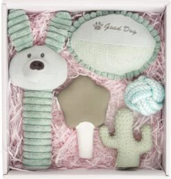 Intratuin Puppy Speelgoedpakket 5 Stuks Blauw -Beeztees || FLEXI || ROYAL CANIN Winkel 8717263775218 4