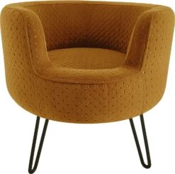 Intratuin Hondenmand Ella Geel D 49 H 44 Cm