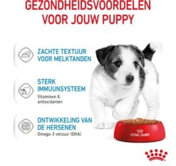 Royal Canin Hondenvoer Mini Puppy 85 G 12 Stuks -Beeztees || FLEXI || ROYAL CANIN Winkel 9003579008201 4