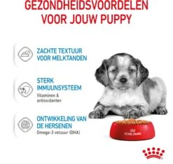 Royal Canin Hondenvoer Medium Puppy 140 G 10 Stuks -Beeztees || FLEXI || ROYAL CANIN Winkel 9003579008324 4