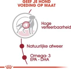 Royal Canin Hondenvoer Medium Adult 140 G 10 Stuks 9 Royal Canin Hondenvoer Medium Adult 140 G 10 Stuks -Beeztees || FLEXI || ROYAL CANIN Winkel 9003579008362 4