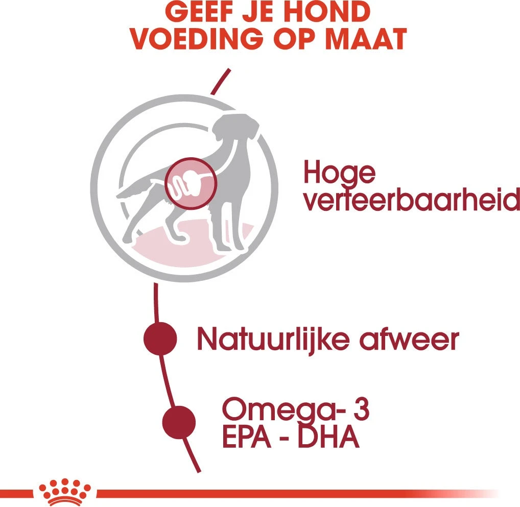 Royal Canin Hondenvoer Medium Adult 140 G 10 Stuks 4 Royal Canin Hondenvoer Medium Adult 140 G 10 Stuks - Afbeelding 4