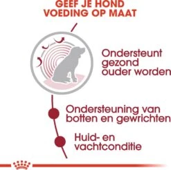 Royal Canin Hondenvoer In Saus Medium Ageing 10+ 140 G 10 Stuks -Beeztees || FLEXI || ROYAL CANIN Winkel 9003579008409 4