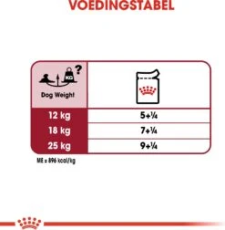 Royal Canin Hondenvoer In Saus Medium Ageing 10+ 140 G 10 Stuks -Beeztees || FLEXI || ROYAL CANIN Winkel 9003579008409 5