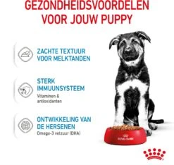 Royal Canin Hondenvoer Maxi Puppy 140 G 10 Stuks 9 Royal Canin Hondenvoer Maxi Puppy 140 G 10 Stuks -Beeztees || FLEXI || ROYAL CANIN Winkel 9003579008447 4