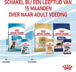 Royal Canin Hondenvoer Maxi Puppy 140 G 10 Stuks 11 Royal Canin Hondenvoer Maxi Puppy 140 G 10 Stuks -Beeztees || FLEXI || ROYAL CANIN Winkel 9003579008447 6