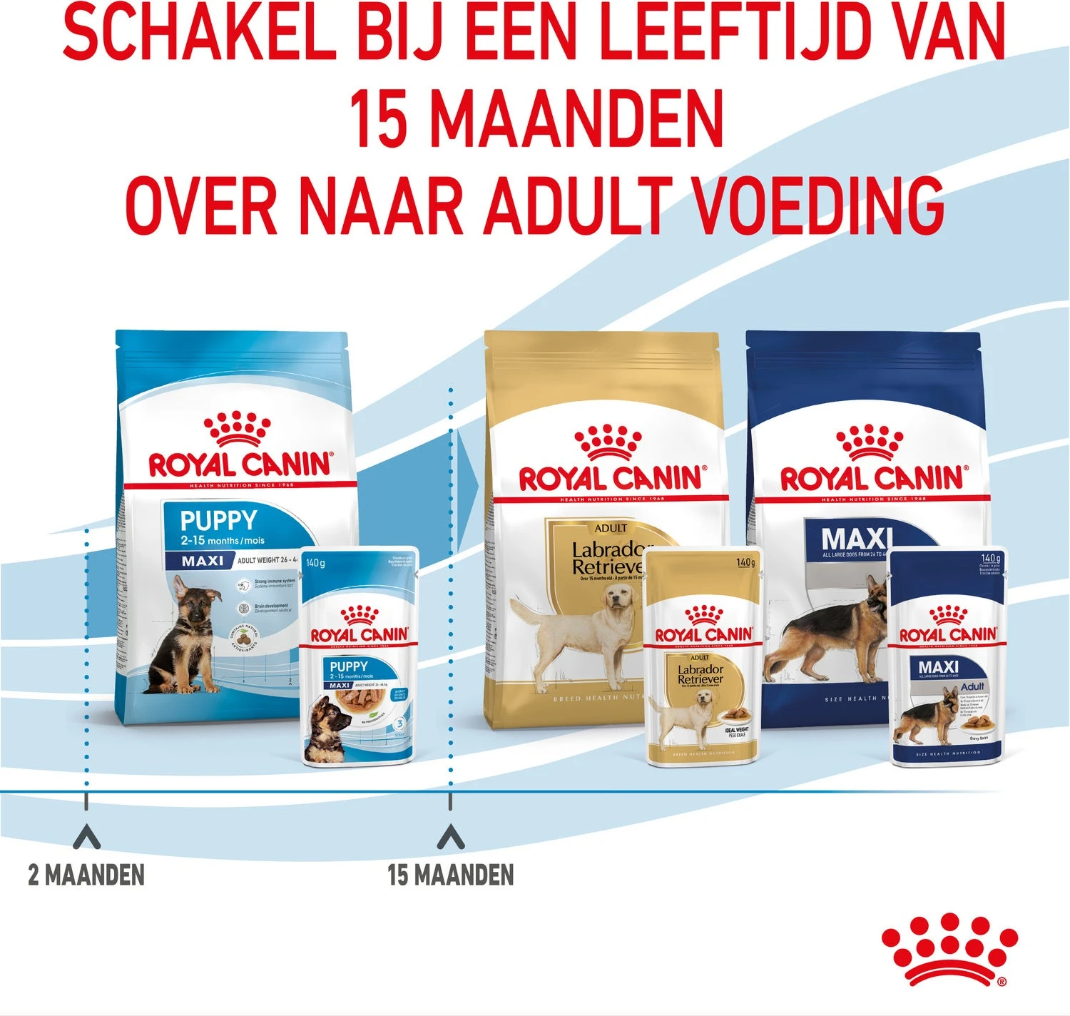 Royal Canin Hondenvoer Maxi Puppy 140 G 10 Stuks 6 Royal Canin Hondenvoer Maxi Puppy 140 G 10 Stuks - Afbeelding 6