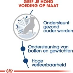 Royal Canin Hondenvoer In Saus Maxi Ageing 8+ 140 G 10 Stuks -Beeztees || FLEXI || ROYAL CANIN Winkel 9003579008522 4